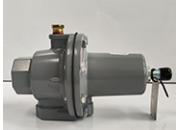 EMERSON-Fisher 289H-41燃气安全放散阀美国费希尔