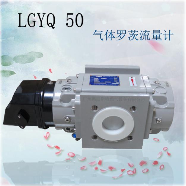 LQYQ50腰轮燃气流量计/智能气体罗茨流量计